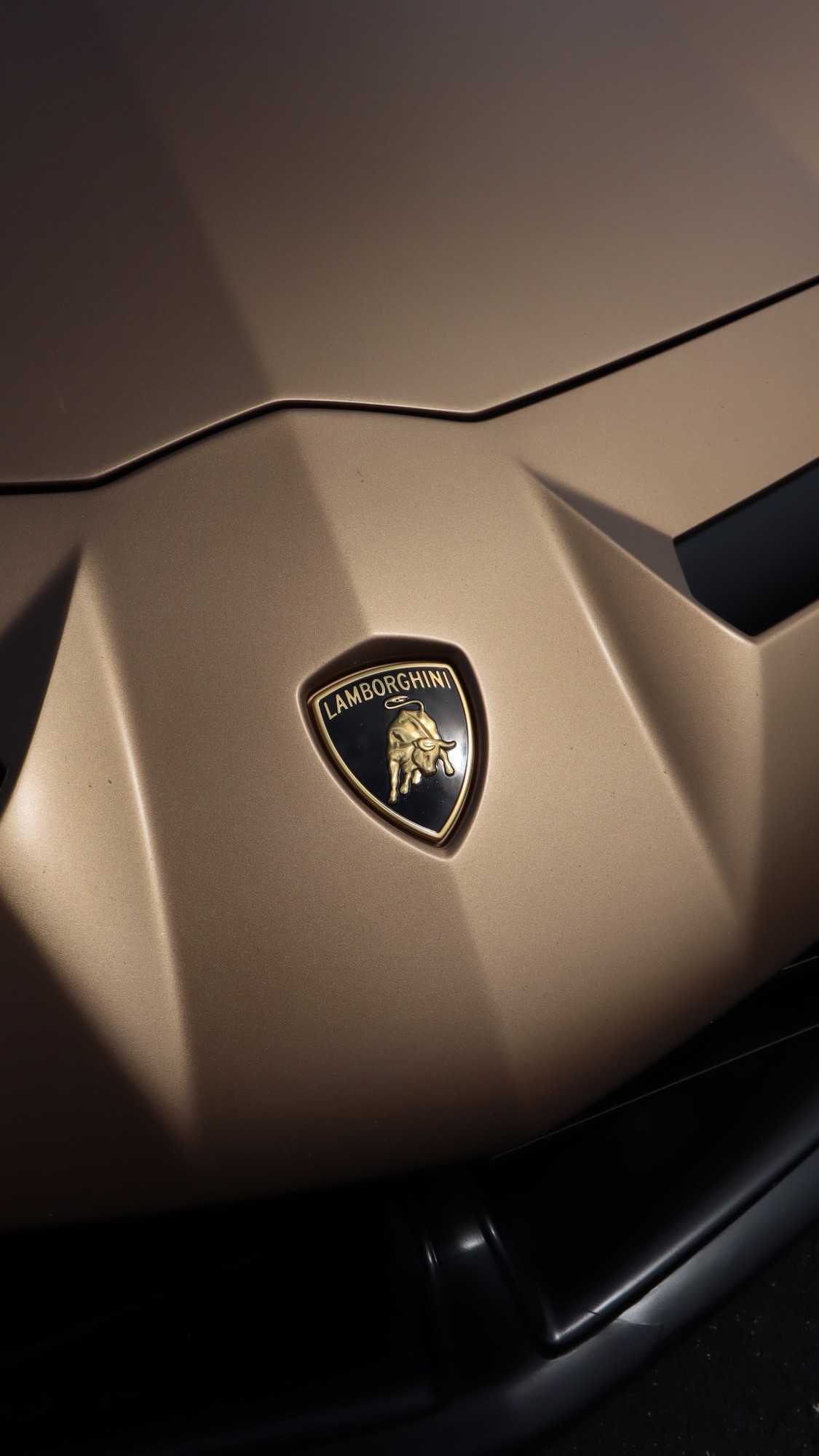 Lamborghini crest on bronze-colored sculpted bodywork
