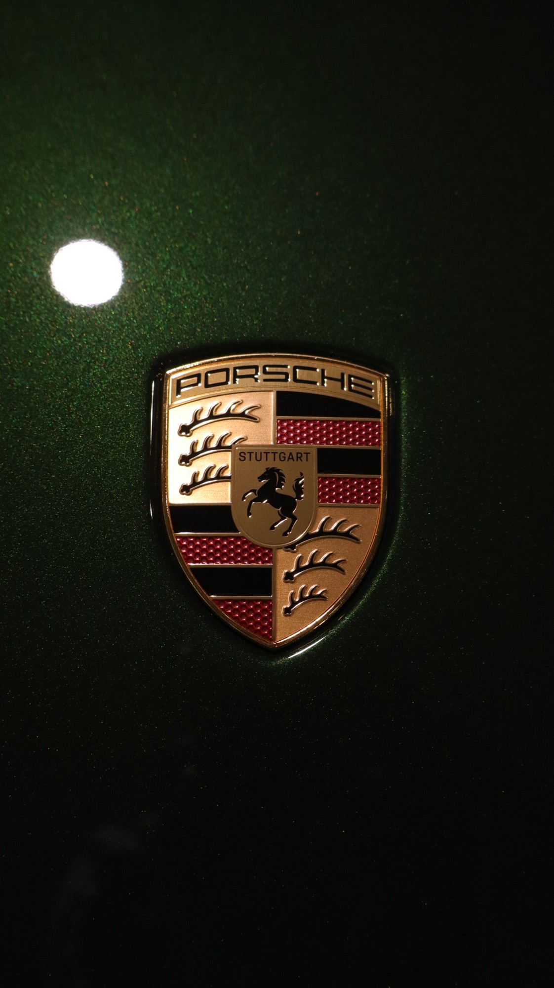 Porsche crest on dark green paint